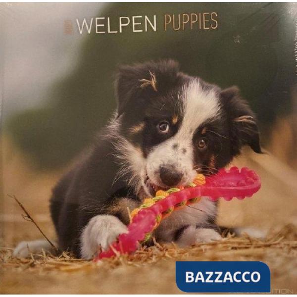 Puppies 2021. Calendario da muro 30x30 cm