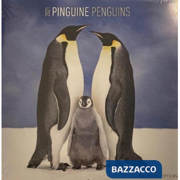 Penguins 2021. Calendario da muro 30x30 cm
