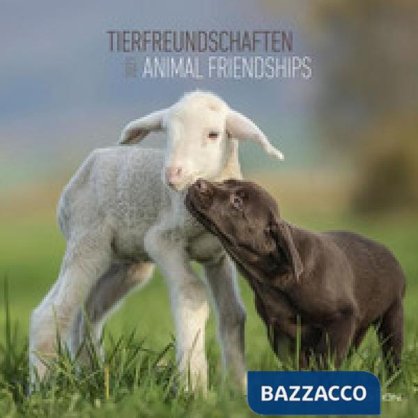 Animal friendships 2021. Calendario da muro 30x30 cm