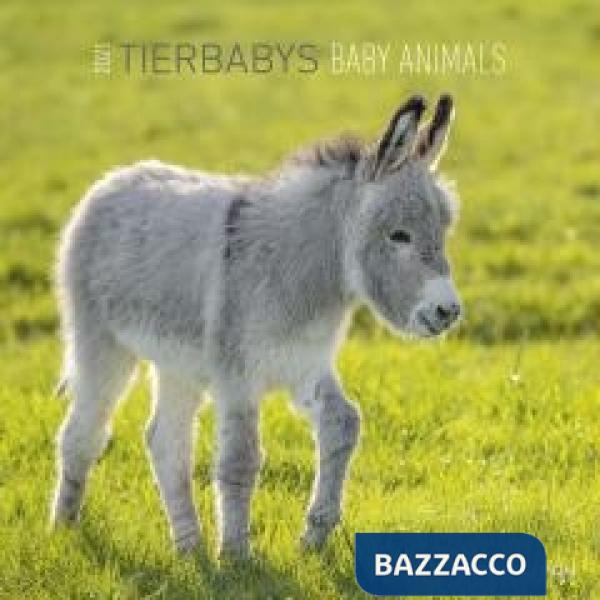 Baby animals 2021. Calendario da muro 30x30 cm