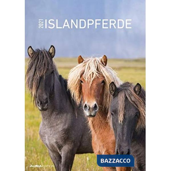 Calendario da muro 29,7x42 cm icelandic horses 2021