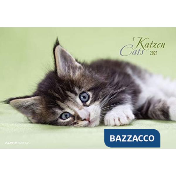 Calendario da muro 42x30 cm cats 2021