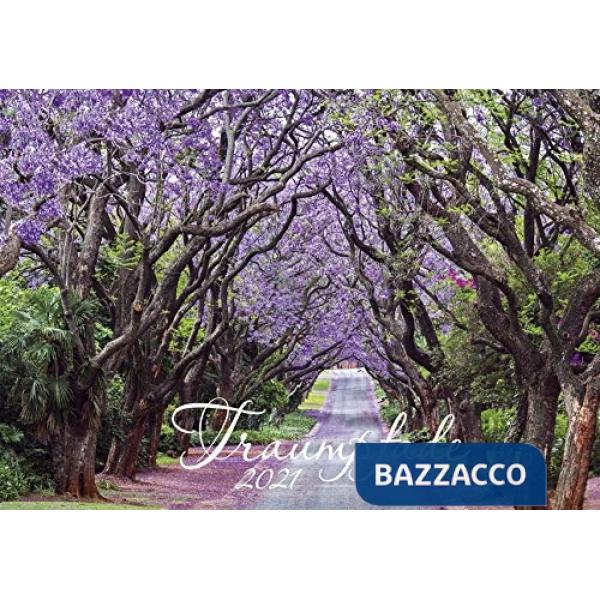 Calendario da muro 48,5x34 cm traumpfade 2021