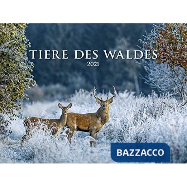 Calendario da muro 56x42 cm forest animals 2021