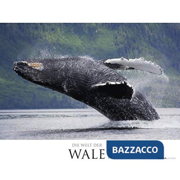 Calendario da muro 60x50 cm wales 2021