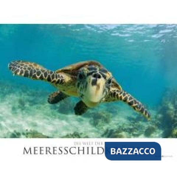Calendario da muro 60x50 cm sea turtles 2021