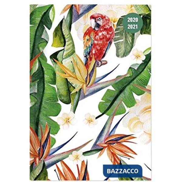 Collegetimer giorn tropical deam 2020-2021