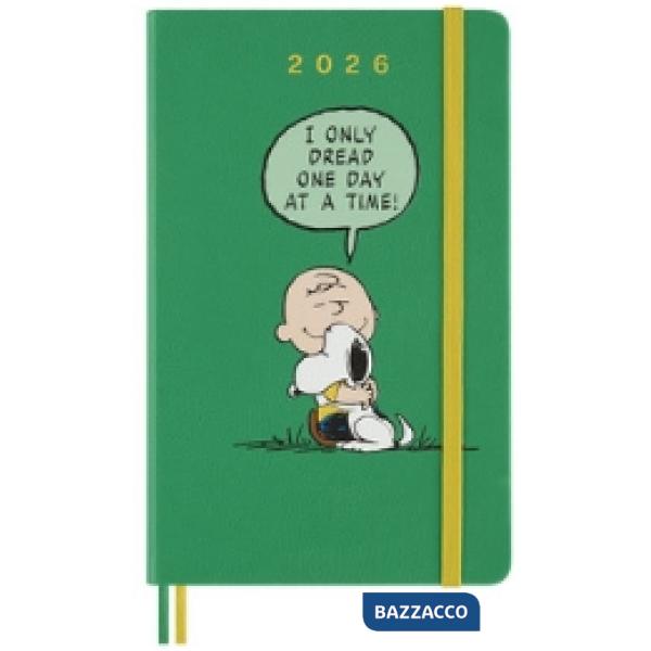 12 months, daily, Peanuts. Large, Charlie & Snoopy