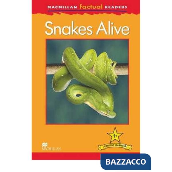 SNAKES ALIVE LEVEL 1