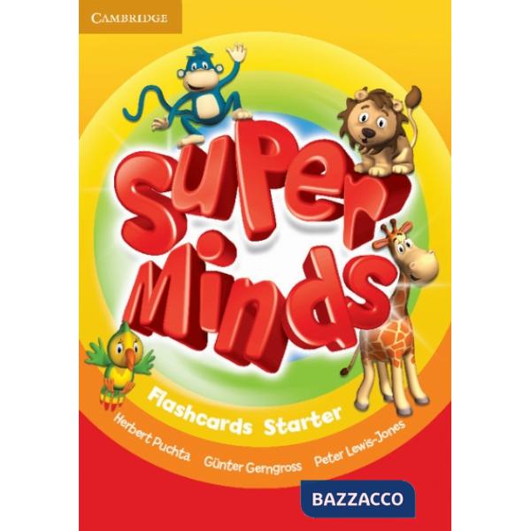 SUPER MINDS STARTER FLASHCARDS