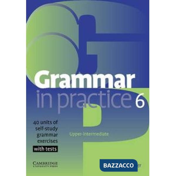 GRAMMAR IN PRACTICE 6