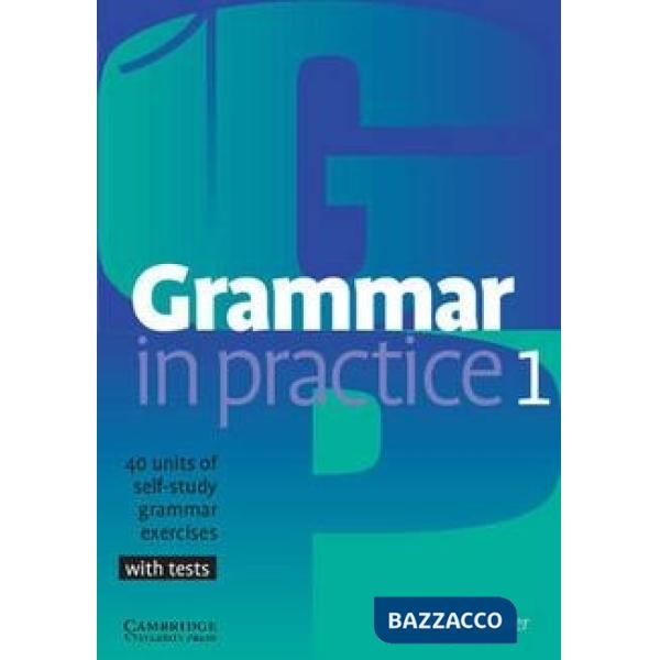 GRAMMAR IN PRACTICE 1