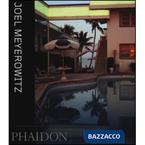 Joel Meyerowitz. Ediz. inglese