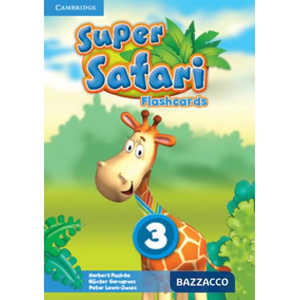 SUPER SAFARI LEVEL 3 FLASHCARDS