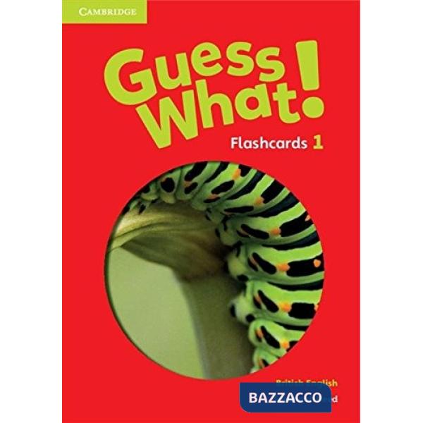 GUESS WHAT! FLASHCARDS 1