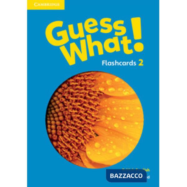 GUESS WHAT! FLASHCARDS 2