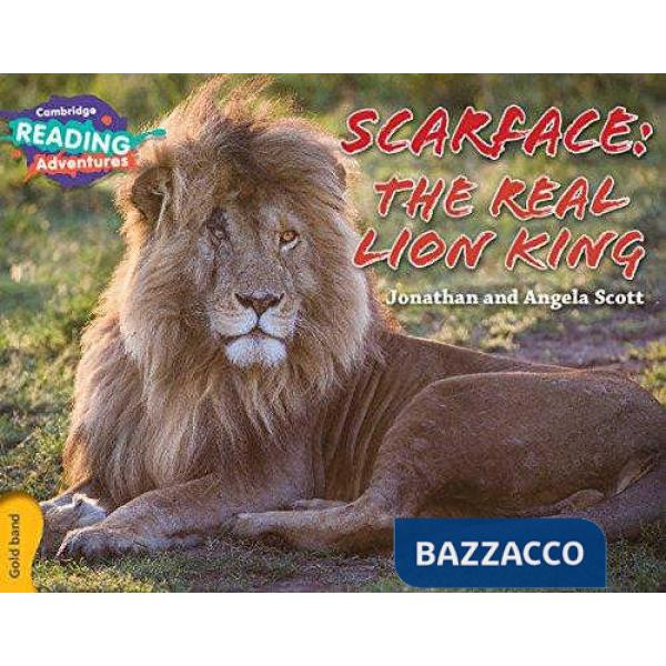 CAMB READ ADV GOLD SCARFACE: THE REAL LION KING