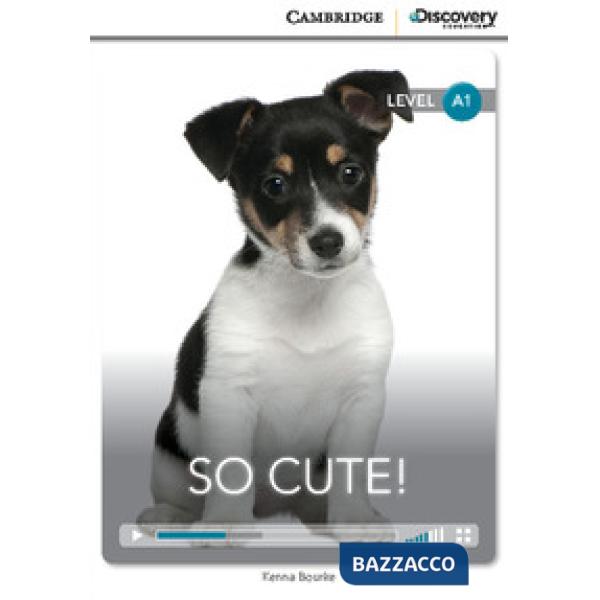 CUP DISCOVERY INTERAC A1 SO CUTE + ONLINE