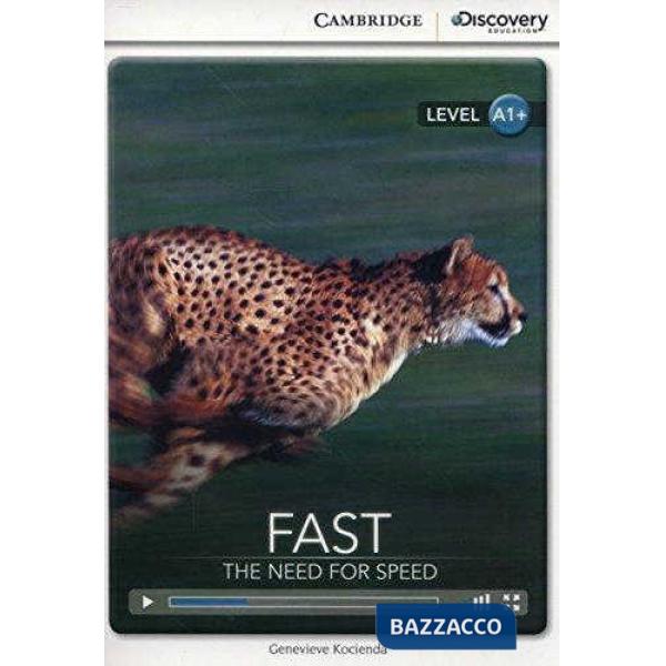 CUP DISCOVERY INTERAC A1 + FAST + ONLINE