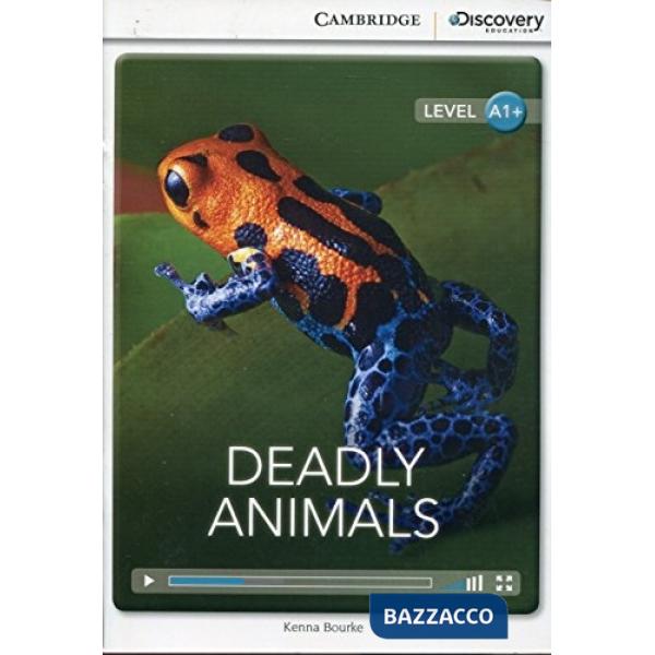 CUP DISCOVERY INTERAC A1 + DEADLY ANIMALS + ONLINE