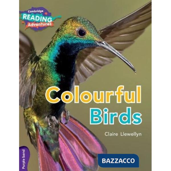 COLOURFUL BIRDS