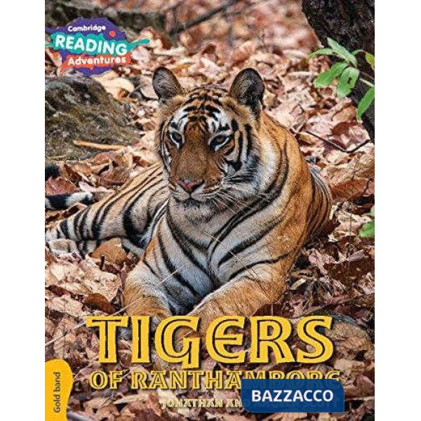 CAMB READ ADV GOLD TIGERS OF RANTHAMBORE