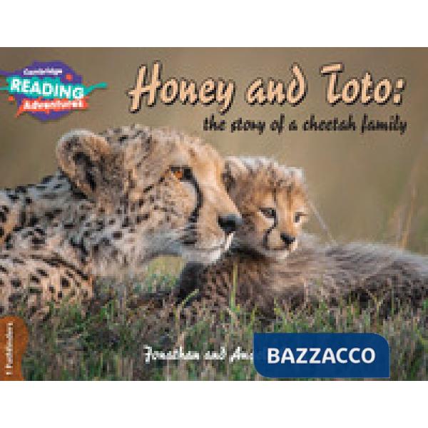 CAMB READ ADV STRAND 1 HONEY AND TOTO