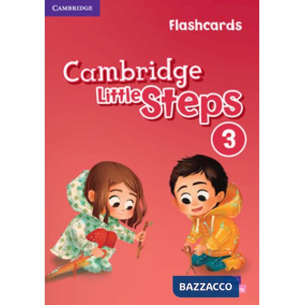 CAMBRIDGE LITTLE STEPS FLASHCARDS 3