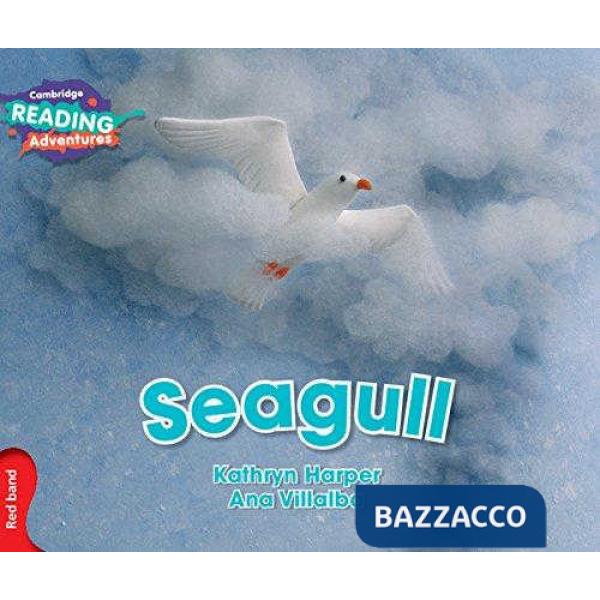 CAMB READ ADV RED SEAGULL