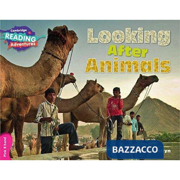 CAMB READ ADV PINK B LOOKING AFTER ANIMALS