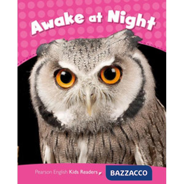 PCLIL2: AWAKE AT NIGHT