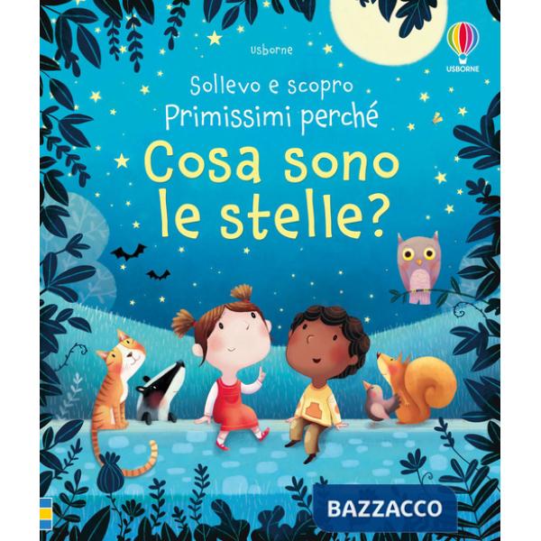 Cosa sono le stelle? Ediz. a colori