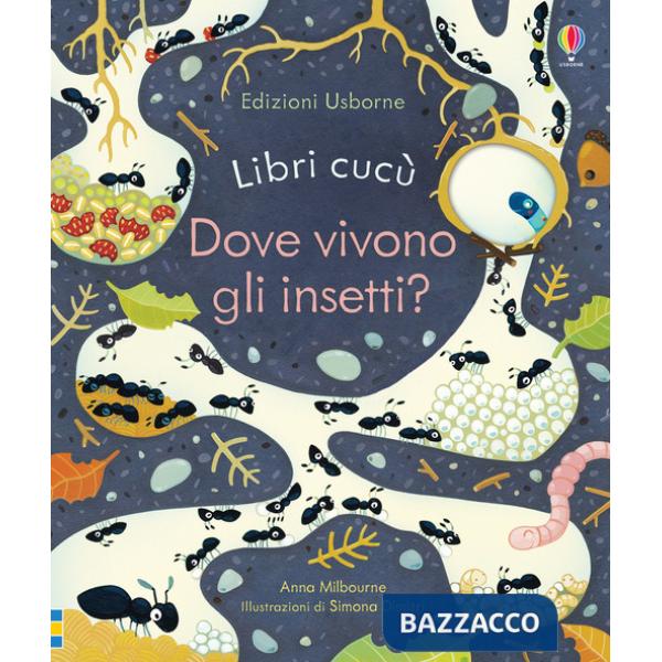Dove vivono gli insetti? Ediz. a colori