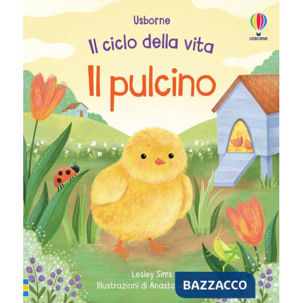 Pulcino. Ediz. a colori (Il)