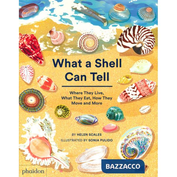 What a shell can tell. Where they live, what they eat, how they move and more
