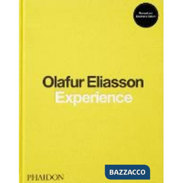 Olafur Eliasson. Experience