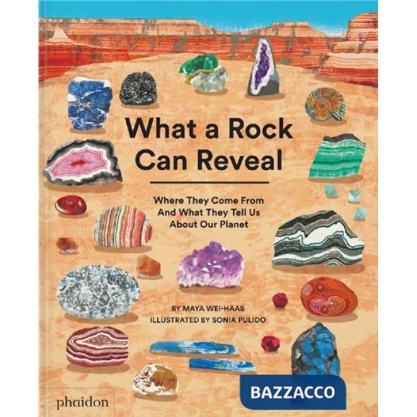 What a rock can reveal. Where they come from and what they tell us about our planet