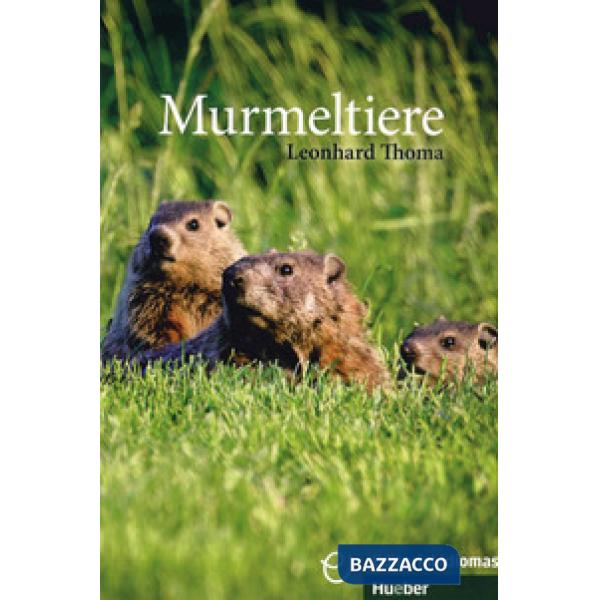 KURZGESCHICHTEN MURMELTIER
