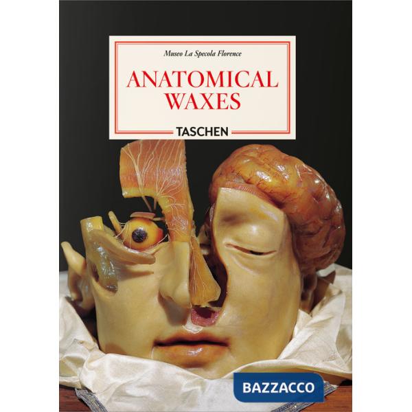 Anatomical waxes. 45th Ed. Ediz. inglese, francese e tedesca