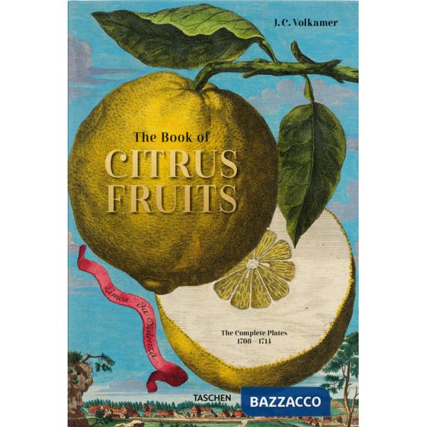 Johann Christoph Volkamer. The book of citrus fruits. Ediz. inglese, francese, tedesca