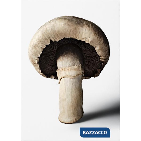 Gourmand's mushroom. A collection of stories & recipes. Ediz. inglese (The)