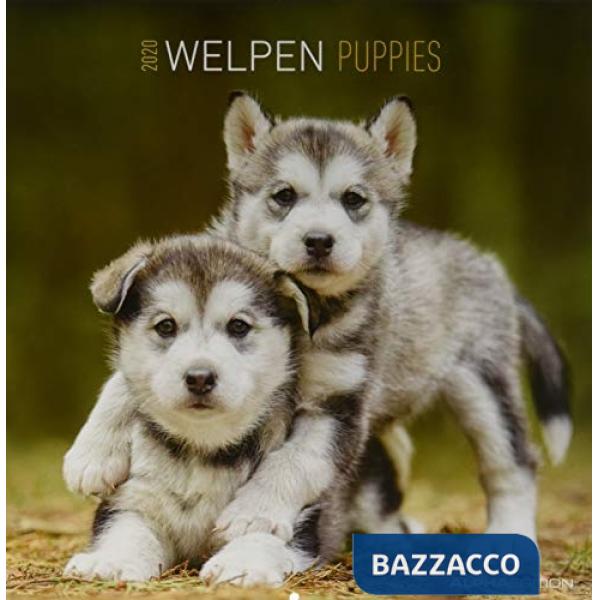 Calendario da muro 30x30 cm puppies 2020
