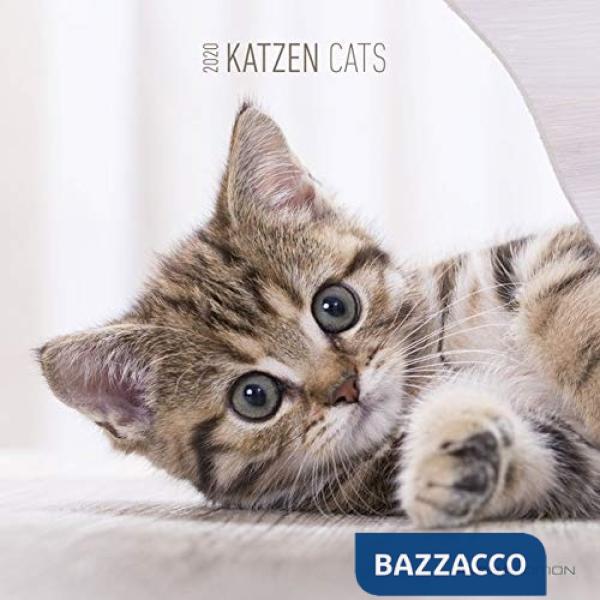 Calendario da muro 30x30 cm cats 2020