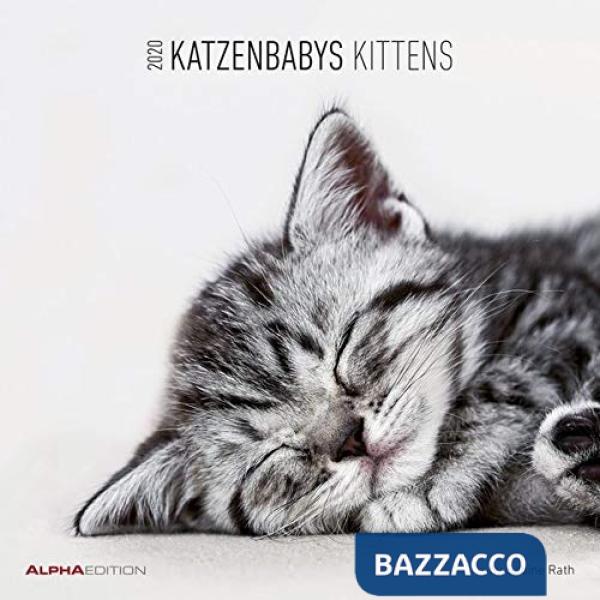 Calendario da muro 30x30 cm kittens 2020