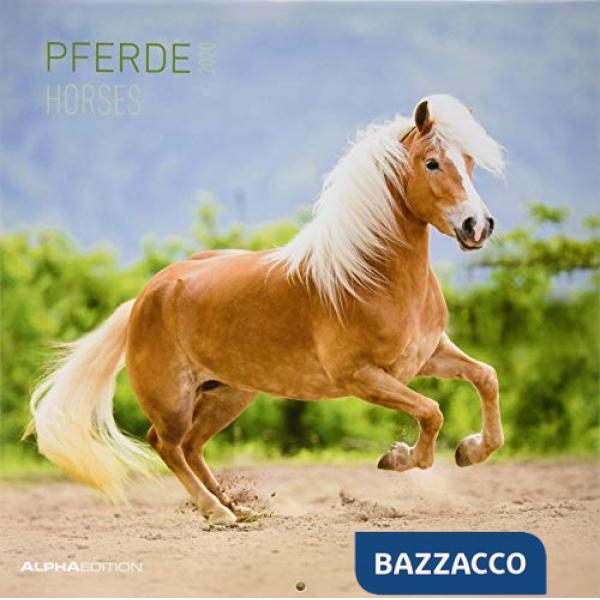 Calendario da muro 30x30 cm horses 2020