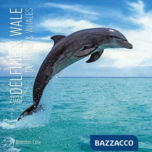 Calendario da muro 30x30 cm dolphins and whales 2020