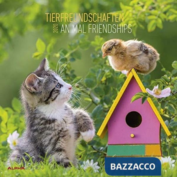 Calendario da muro 30x30 cm animal friendships 2020