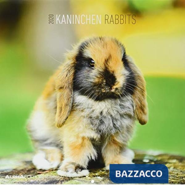 Calendario da muro 30x30 cm rabbits 2020
