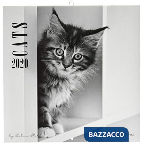 Calendario da muro 30x30 cm cats by sabine rath 2020