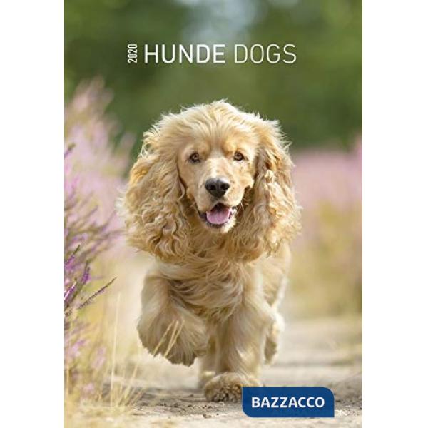 Calendario da muro 23,7 x 34 cm dogs 2020